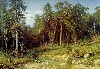 Картина Шишкина: Сосновый бор. Мачтовый лес в Вятской губернии