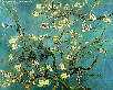 Картина Винсента Ван Гога: Цветущая ветка миндаля
